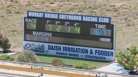 Murray-Bridge-14122021-Race-4