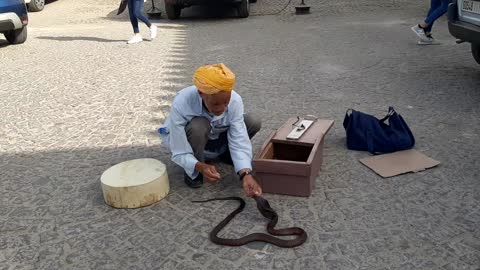 Tangier Snake Charmer