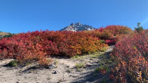 Oregon – Mount Hood – Warm Fall Colors Spectrum – 4K