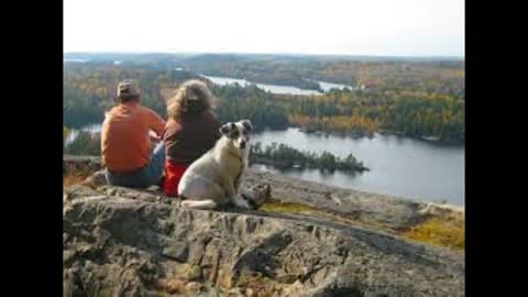 "What's Up Northern Ontario" -Dr. P Phillips tonight at 7pm