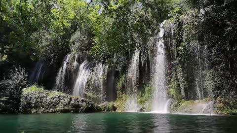 Live From Waterfall Beautiful Sound of Nature