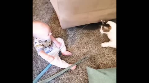 The baby likes playing with small animals very much