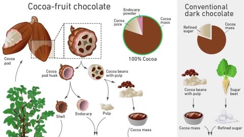 Sweet Innovation: Researchers Develop Healthier, Sustainable Chocolate