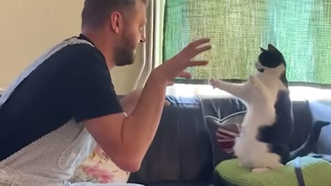 Must Watch, 😂🤣 Cats Funniest videos 😂 ( Try not to laugh ).