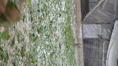 Hailstorm in India