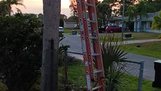 Only my husband Getting ready for hurricane season