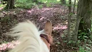 Horseback riding in slow motion.
