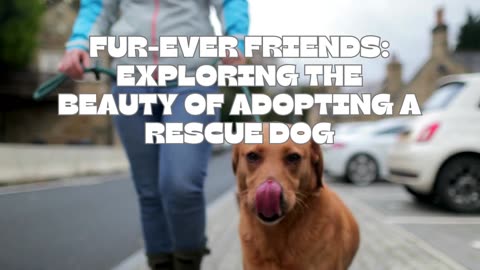 "Top Reasons Why You Should Get a Rescue Dog"