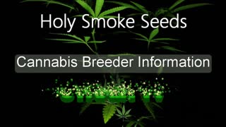 Holy Smoke Seeds - Cannabis Strain Series - STRAIN TV