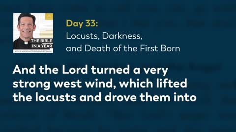 Day 33: Locusts, Darkness, and Death of the First Born — The Bible in a Year (with Fr. Mike Schmitz)