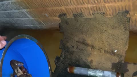 Leaking Well Water Pressure Tank Replacement Part 43 Bonus Video from the Resurrected iPhone! My Dad's Tutelage, Strength Versus Weakness, Trying to Manipulate the Newly Felled Tank, and Notes on How Big of a Water Pressure Tank to Buy on Wednesday,