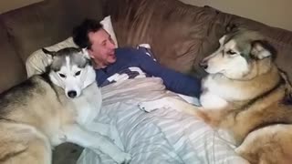 Silly Dog Gets Jealous And Demands More Attention