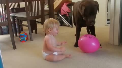 Baby laughing at dog playing -baby and dog the best freind