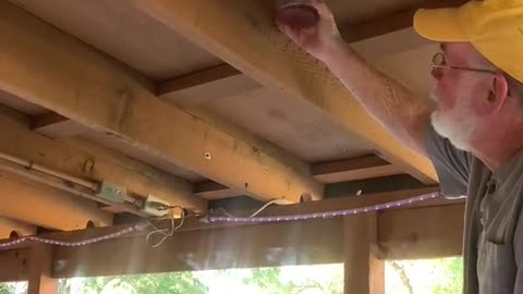 Using Gas to Take Out Wasps