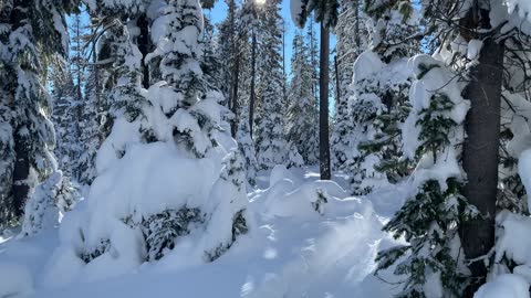 Gaining Elevation – Central Oregon – Swampy Lakes Sno-Park