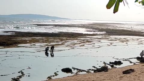 Relax at Karapyak Pangandaran Beach - Indonesia