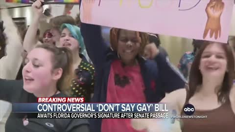 Florida passes controversial 'Don’t Say Gay' bill