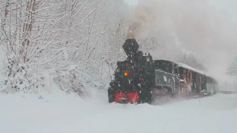 The magic sound of a Train Steam in Carpathian Mountains