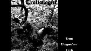 Trollskogen - Der Trollwald