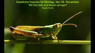 Geistliche Impulse für Montag, den 28. November