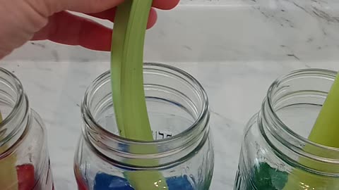 Day 3: Celery Experiment w/Dyes