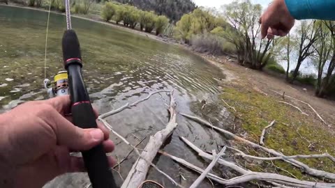 Fishing a TINY LAKE filled with GIANT TROUT!!!