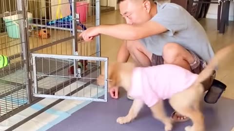 DOG WANT TO LIVE WITH HIS CHILD