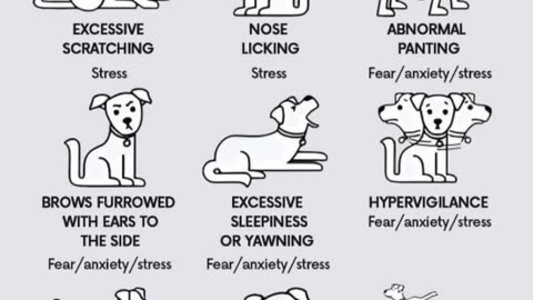 🐾 Decoding Dog Language: Understanding Your Pup's Signals! 🤔 | Body Language Secrets Revealed! 🐕💬