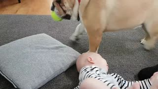 Max and Spanky Playing Ball