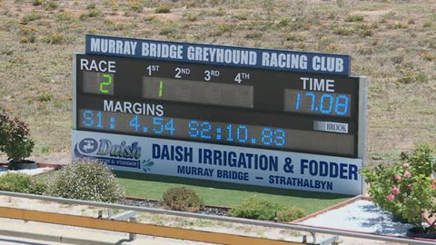 Murray-Bridge-14122021-Race-2