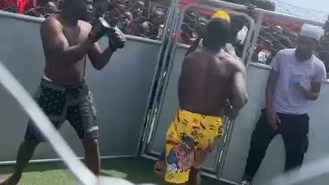 Cage Fight(MMA)