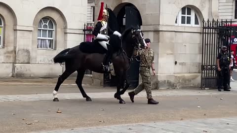 Queen’s Guard Horse Goes Crazy