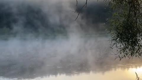 A beautiful sunrise on the Neman river. Real Nature