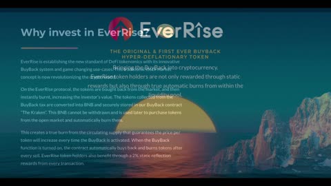 What is Everrise Token