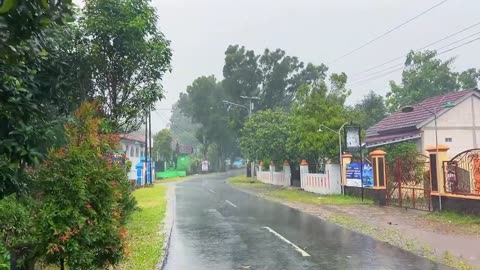 Super Heavy rain in Beautiful green Village__very exotic and relaxing.