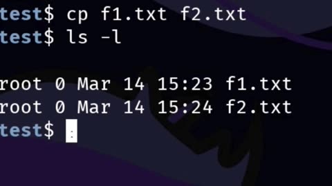 How to copy a file from the Rhino Linux command line