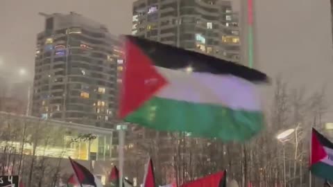 "New Year's Turmoil: Pro-Hamas Supporters Disrupt Toronto's NYE Celebrations"