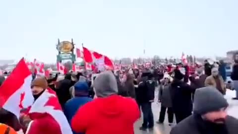 Mainstream media caught trying to downplay the support for the Canadian convoy for freedom, it's brilliant to watch as you can almost taste their fear, their control is lost