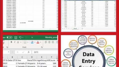 Data Entry expert excel Sheets expert 7 years experience