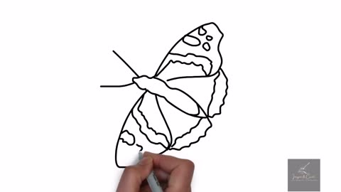 Master the Art of Drawing a Stunning Butterfly | Step-by-Step Tutorial