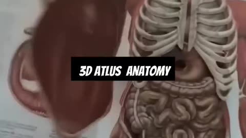 Anatomy MBBS 1Year#shorts#MBBS.