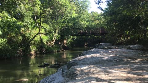 10 Second Relaxation Break in Nature - Creek with Bubbling Water and Birds Chirping