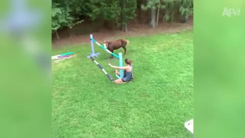 You Cannot Get Enough of These BACKYARD FAILS!!! 🤣🌳 Funny Videos Compilation