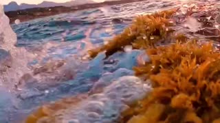 GoPro sea view