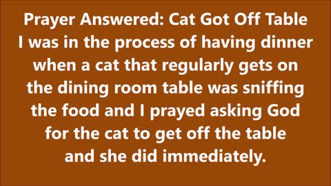 Prayer Answered: Cat Got Off Table - RGW Testimony