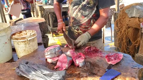 Amazing Tuna Cutting