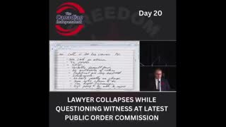 LAWYER COLLAPSES IN MIDDLE OF CANADIAN EMERGENCIES ACT INQUIRY (FREEDOM CONVOY)