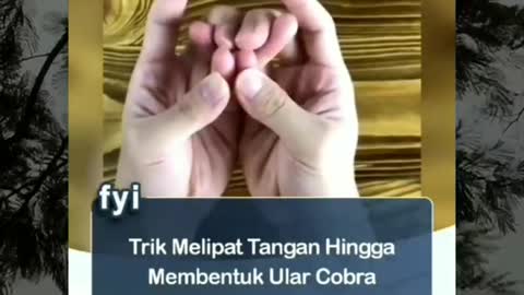 Trik Melipat Tangan Hingga Membentuk Ular Kobra