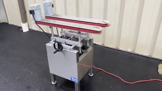 Accutek Side Grip Bottomless Gap Transfer Conveyor