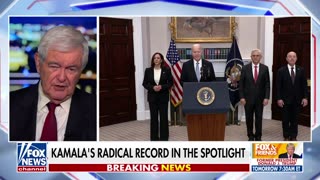 This signals how much 'trouble' the Biden administration has created: Newt Gingrich